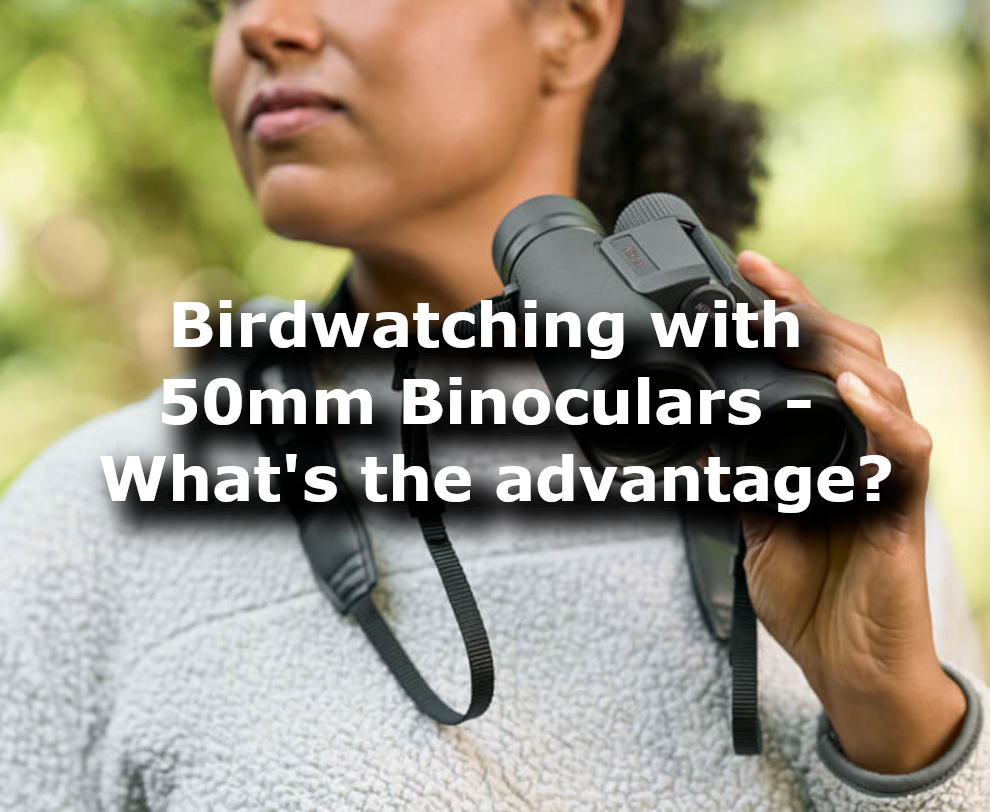 Binocular lens sizes. Why it matters and what's important