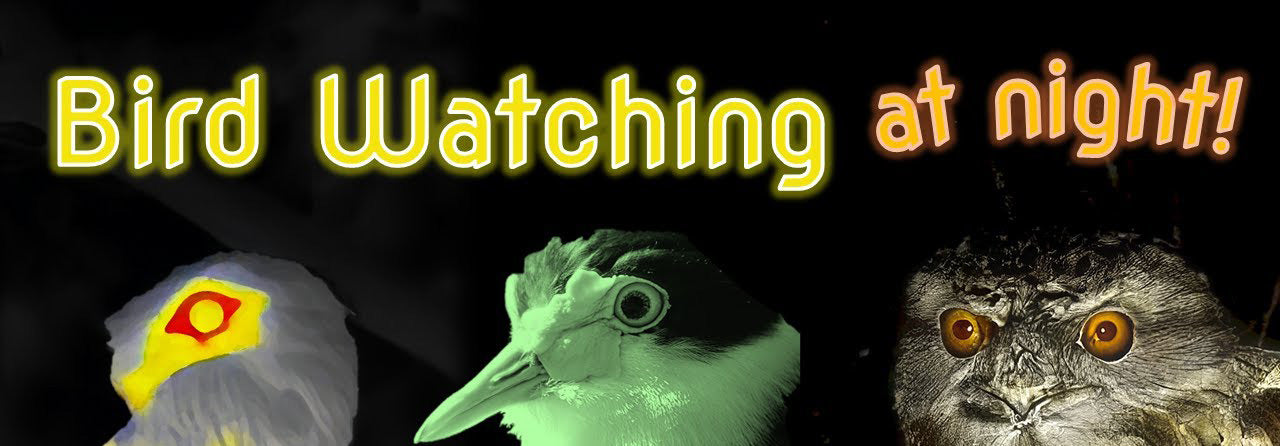 Bird Watching at Night: Thermal, Night Vision and Spotlighting