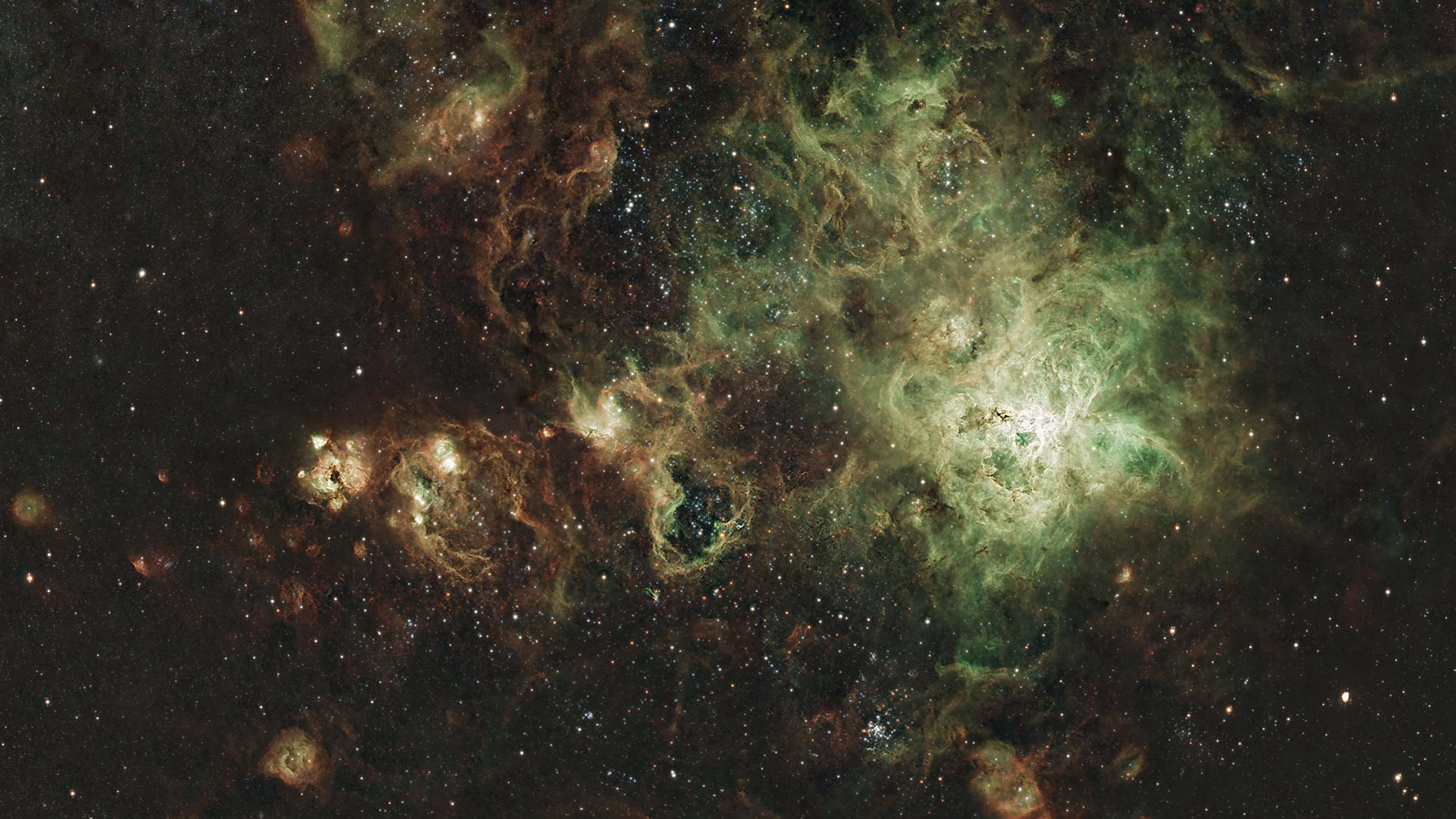 February 2025 - Douglas Cooke (NGC 2070 The Tarantula Nebula)