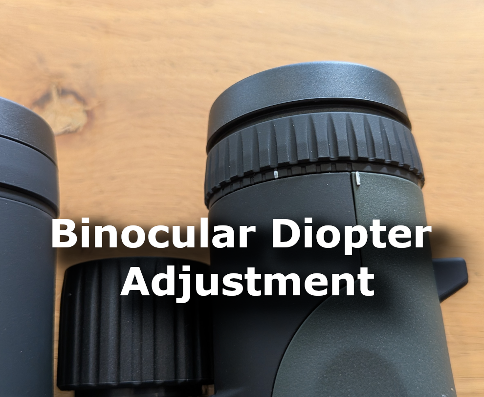 Diopter adjustments with binoculars