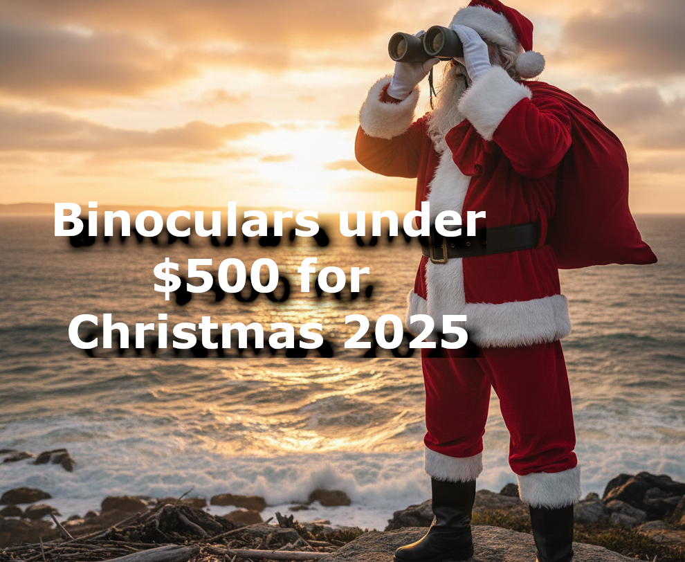 Binoculars for Christmas 2025 - under $500