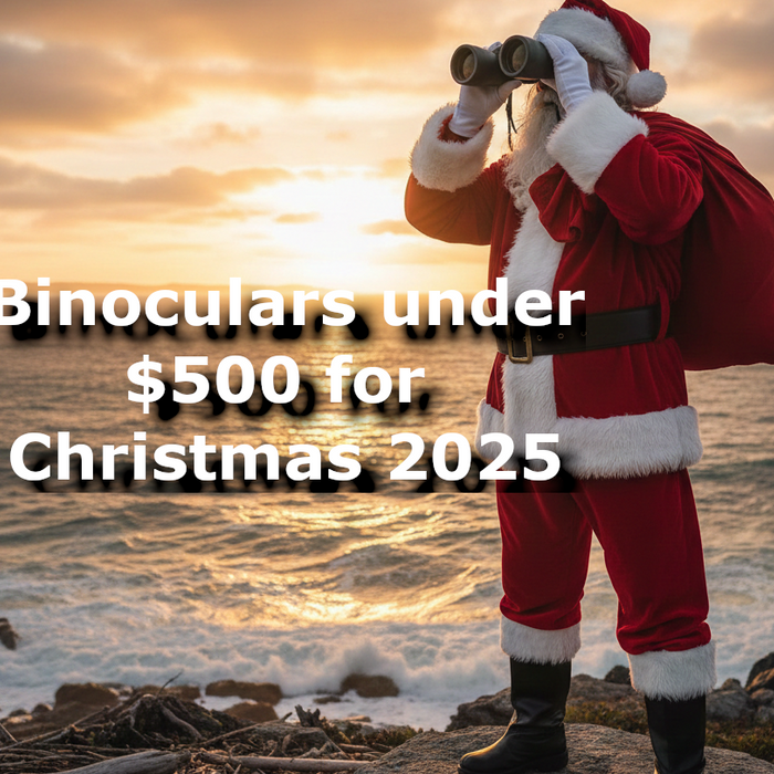 Binoculars for Christmas 2025 - under $500