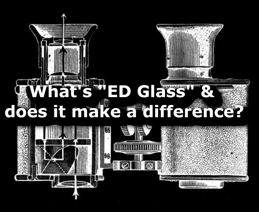 ED Glass. Why it makes a big difference for binoculars