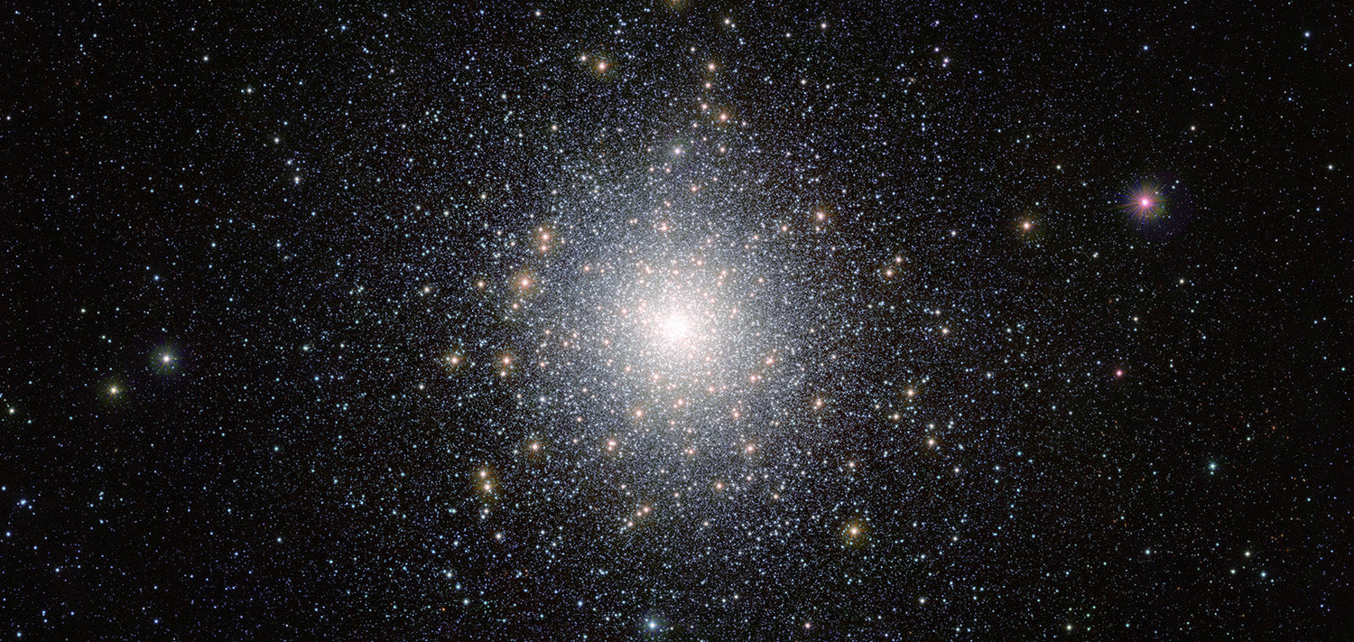What's in the Sky November 2025