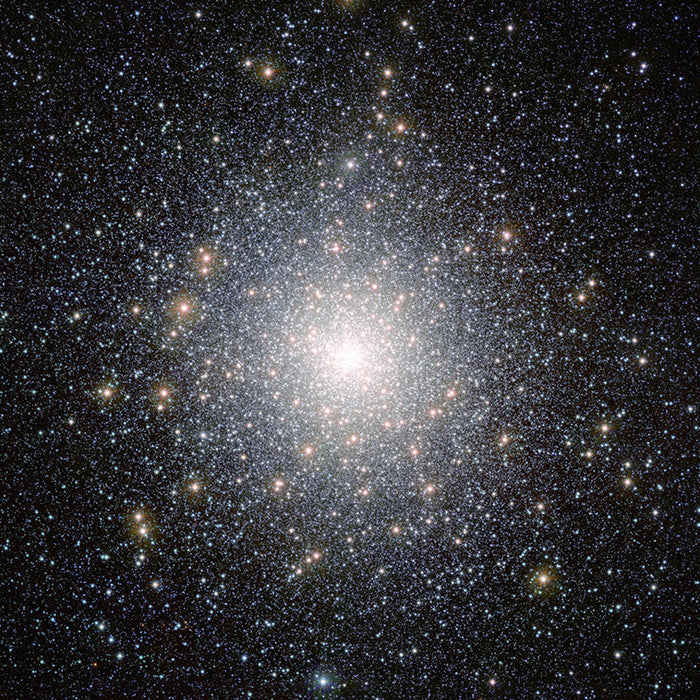 What's in the Sky November 2025