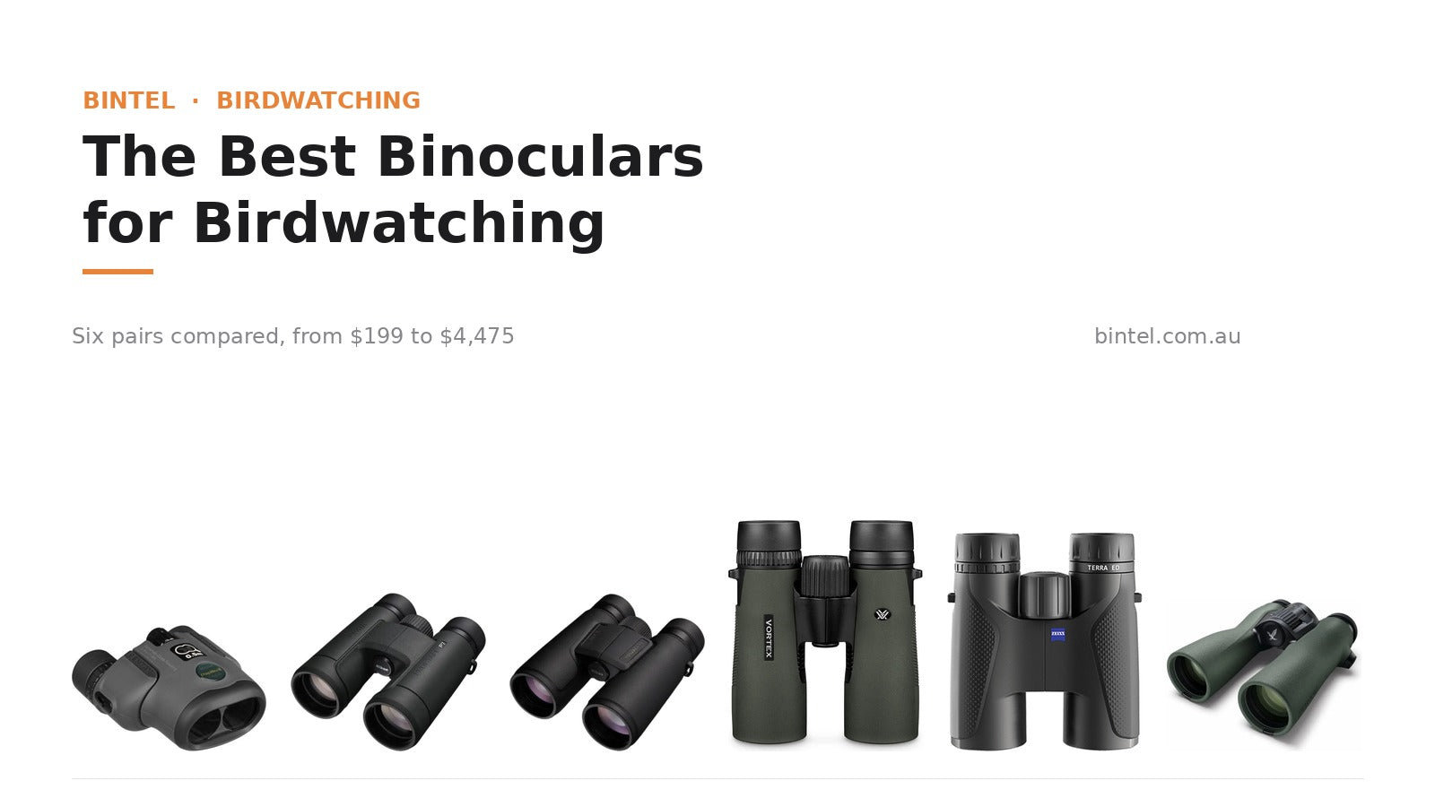 The six best binoculars for birdwatching in Australia, from Pentax Papilio to Swarovski NL Pure