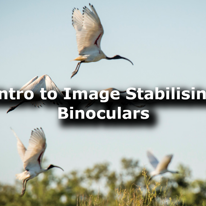 Image stabilsing binocuars