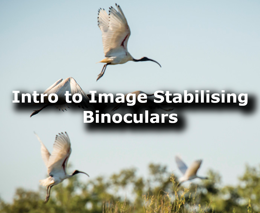 Image stabilsing binocuars