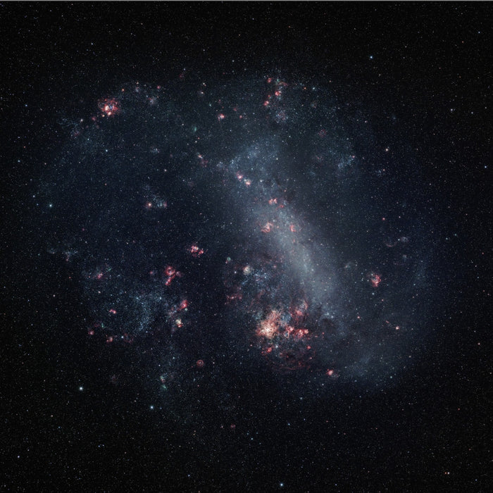 Is the Large Magellanic Cloud (LMC) just passing by?