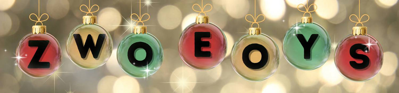 ZWO End of Year Sale 2025