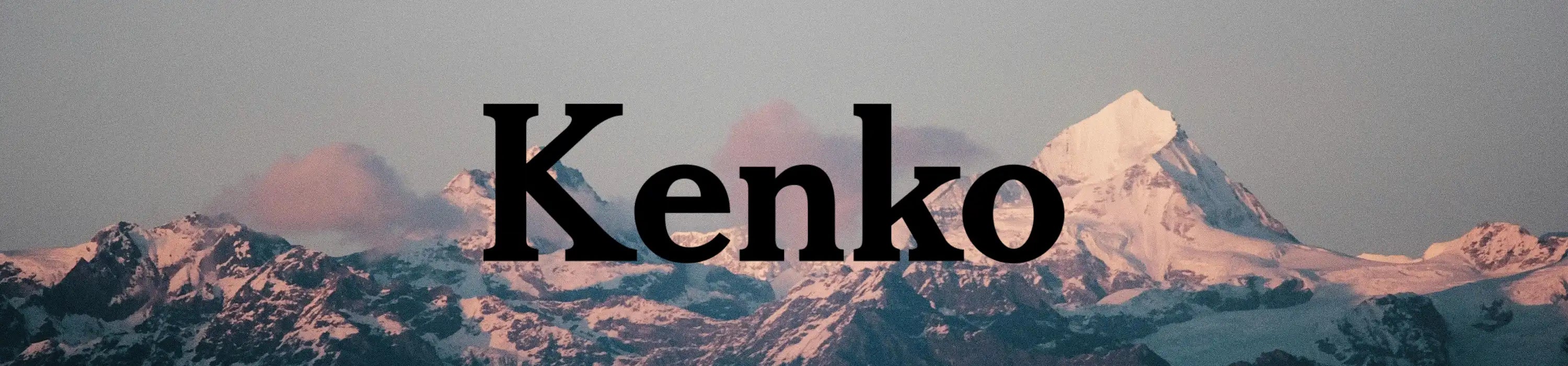 Kenko Binoculars