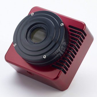 Image alt