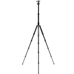 Benro MeFOTO RoadTrip Pro tripod shown at two extended heights