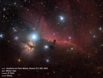 Celestron 8" F/2 RASA Schmidt Astrograph OTA - The Binocular and Telescope Shop