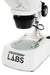 Celestron Labs S10 - 60 Stereo Microscope - The Binocular and Telescope Shop