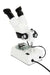 Celestron Labs S10 - 60 Stereo Microscope - The Binocular and Telescope Shop