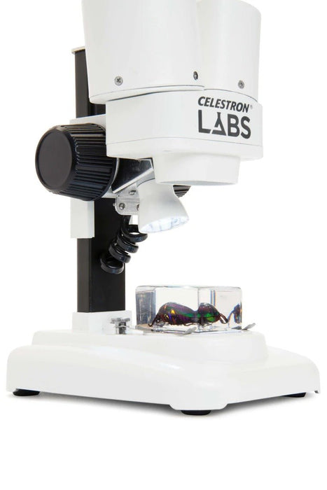 Celestron Labs S20 Microscope - The Binocular and Telescope Shop