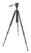 Celestron TrailSeeker Tripod - The Binocular and Telescope Shop