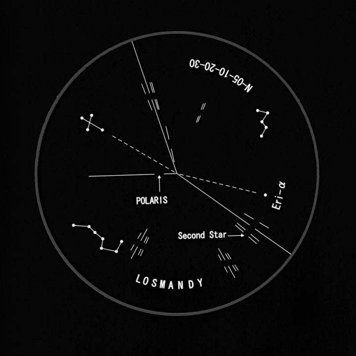 Losmandy Polar Scope for GM - 8 and G - 11 - The Binocular and Telescope Shop