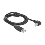 Pegasus Astro Angled USB 2.0 Type-A to Type-B Cable