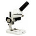 Saxon ScienceSmart Stereo Microscope 20x - The Binocular and Telescope Shop