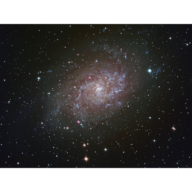 Image alt